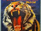 TYGERS OF PAN TANG - Wild Cat  12