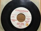 ROSCOE & LITTLE GREEN MEN 45 Ghost Riders In The Sky -outsider Rockabilly HEAR