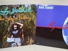 Randy Stonehill Vinyl Record LP Bundle - The Sky Is Falling & Equator 1980s