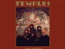Temples - Hot Motion [Colored Vinyl] NEW Sealed Vinyl LP Album