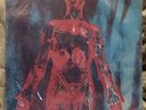 Nirvana Sliver Original 12” LP NEVER Used