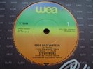 STEVIE NICKS - RARE IRISH PRESS 7