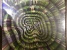 Aphex Twin Collapse Ep Limited Edition Chrome Tape New And Sealed Condition Afx