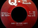 THE DELACARDOS Shes The One I Love b/w Got No One 1966 SOUTHERN SOUL/FUNK 45 RPM