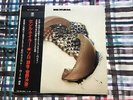 Cecil Taylor – Solo   - NM WAX  Japan OBI  Vinyl LP