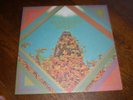 Morgan Delt LP self titled