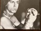 Iggy and the Stooges (5) 7” Colored Vinyl Singles Box Set