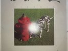 Rush- Signals (1982) Vinyl LP