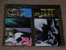 sonic youth sister 1987 original Vinyl pressing
