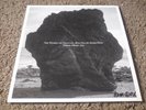 Damon Albarn SIGNED Nearer The Fountain More Pure Stream Flows Vinyl - POA