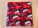 Thee Oh Sees Floating Coffin Vinyl LP Limited Color Vinyl NEW UNPLAYED