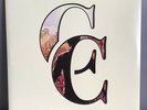 A Day To Remember - Common Courtesy VINYL