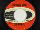 Northern Soul 45 - Shirelles - Last Minute Miracle - Scepter - mp3