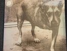 Alice In Chains Self Titled - Three Legged Dog Sealed -White Vinyl