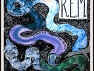Vinyl LP: REM R.E.M. Reckoning. IRS (R)  SP70044.  1984