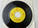 Ted Nugent Fred Bear 7” 45 RPM U-26314M TN-1213AA Ex Condition