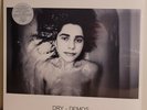 PJ Harvey Dry Demos2020 Island Records German Pressing Vinyl LP New Sealed