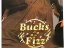Bucks Fizz My Camera Never Lies Poster Sleeve UK 12