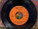 The Rotters Sit On My Face Stevie Nicks 7” Single TR-002