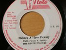 Well Pleased & Satisfy 'Pickney A Have Pickney' 1977 High Note Roots Reggae 45