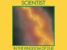 IN THE KINGDOM OF DUB