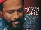 Marvin Gaye - Collected vinyl LP NEW/SEALED IN STOCK Best Of Greatest Hits