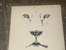 White Lion 