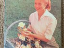 Helmet - Betty 2X Vinyl LP, 10