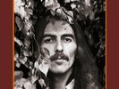 George Harrison Collection Box 18 LP 180g Vinyl Beatles NEU UND UNGESPIELT