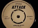 PAT RHODEN - LIVING FOR THE CITY.