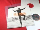 Flo Mega  DIE WIRKLICH WAHREN DINGE  -  LP Homeground EU 2011 near mint