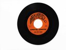 Jan and Dean-Summertime Summertime-J and D 401(Sunshine Pop 45)