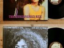 Tyrannosaurus Rex - A Beard Of Stars / Unicorn 1978 2x LP UK Cube Rec. FOC Mint