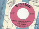 OHIO NORTHERN SOUL/DOO WOP- THE VISIONS- 