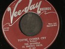 SPANIELS: you're gonna cry / i need your kisses VEE-JAY 7