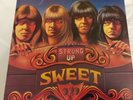The Sweet Strung Up Vinyl Record 1976 RCA Double Album SPC 0001