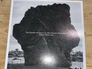DAMON ALBARN - THE NEARER THE FOUNTAIN - HAND SIGNED VINYL LP - ULTRA LIMITED