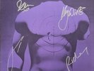 Manic Street Preachers - Fully Signed Repeat / Loves Sweet 12” Vinyl
