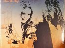 Robert Plant & Alison Krauss - Raise The Roof  - 2LP Vinyl // NEU & OVP // Gate.