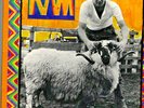 PAUL & LINDA McCARTNEY on LP 