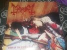 mayhem - dawn of the black hearts