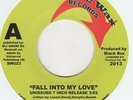 Black Box Fall Into My Love Sonic Wax sw023 Soul Northern Motown