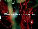 The Mountain Goats - Tallahassee LP vinyl NEW