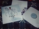 Enya - And Winter Came - Vinyl LP album