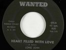 Garage 45 - Long John & the Silvermen - Heart Filled With Love - Wanted - mp3