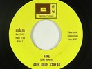 Garage Fuzz 45 - 49th Blue Streak - Fire/Foxy Lady - MBM - VG+ mp3