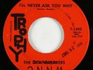 Garage 45 - Dawnbreakers - I'll Never Ask You Why - Trophy - mp3 - obscure