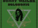 Bunny Wailer - Solomonic Singles Volume 2 Rise and Shine 2 LP SEALED Japan