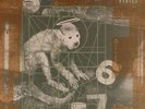 Pixies ?- Doolittle LP Vinyl Album - Debaser - Here Comes Your Man SEALED RECORD
