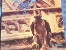 MORTEM - De Nature Daemonum Lp 2005 Iron Pegasus Orange Wax